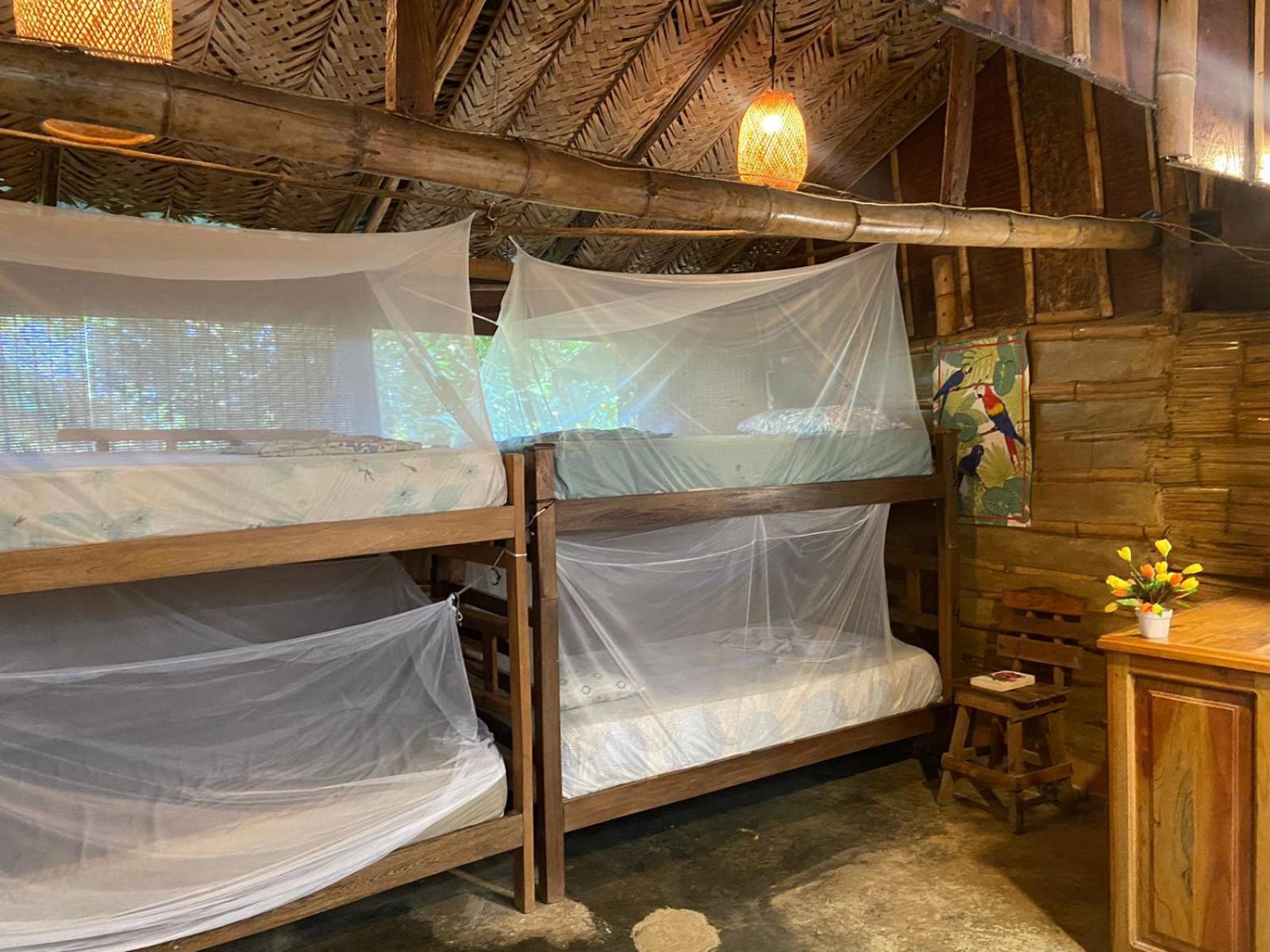 Hostal Colibri Minca Eksteriør billede