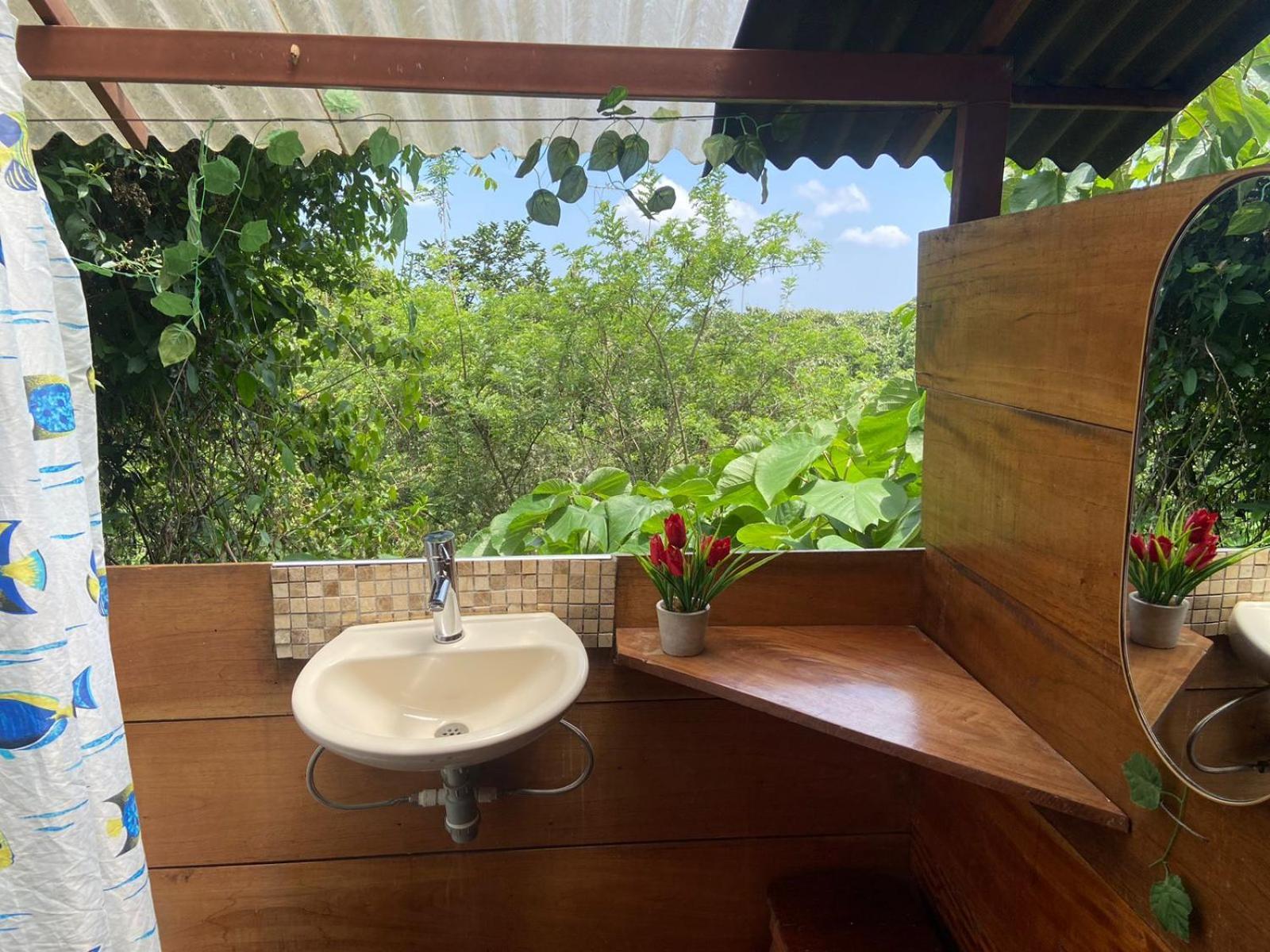 Hostal Colibri Minca Eksteriør billede