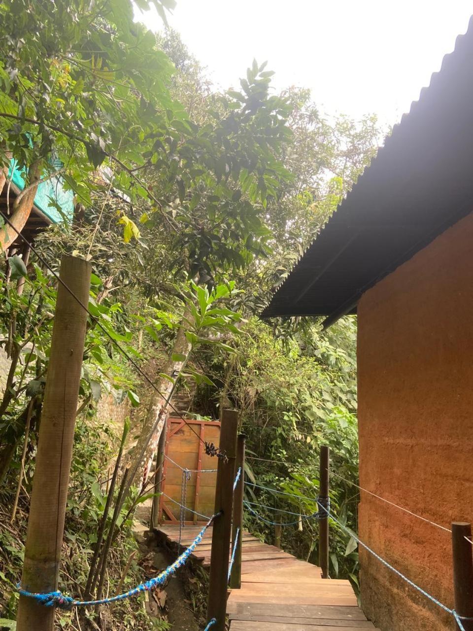 Hostal Colibri Minca Værelse billede